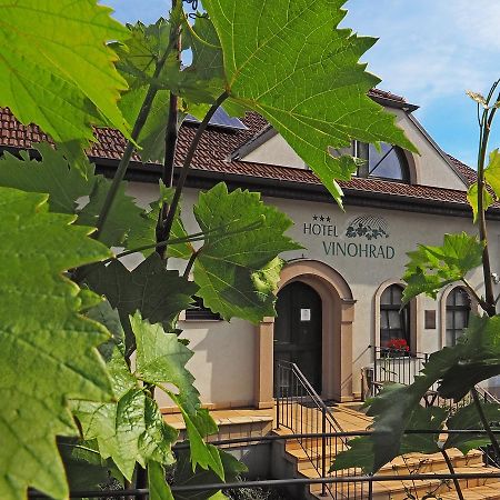 Hotel Vinohrad Milotice エクステリア 写真