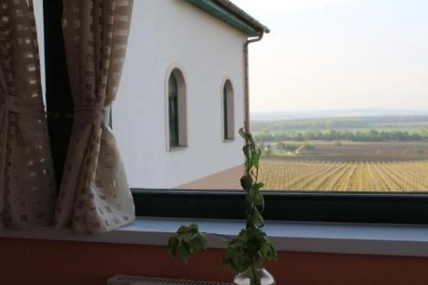 Hotel Vinohrad Milotice エクステリア 写真