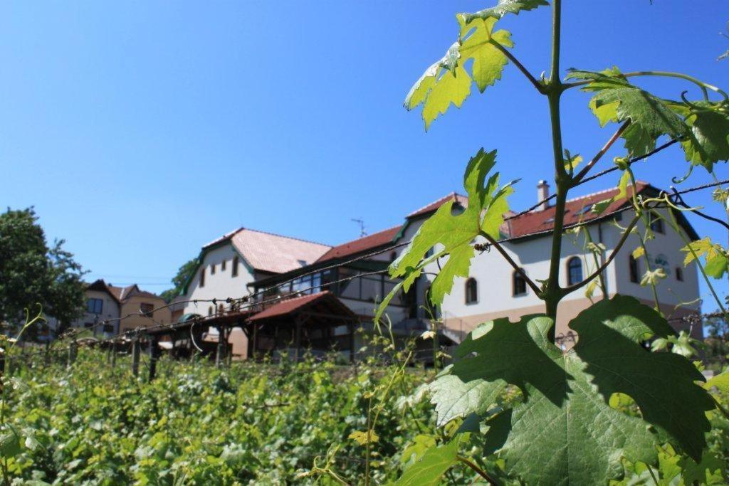 Hotel Vinohrad Milotice エクステリア 写真