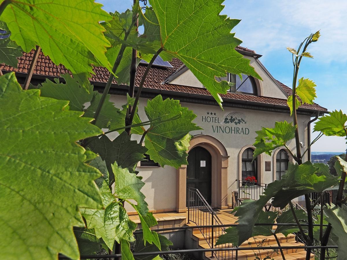 Hotel Vinohrad Milotice エクステリア 写真